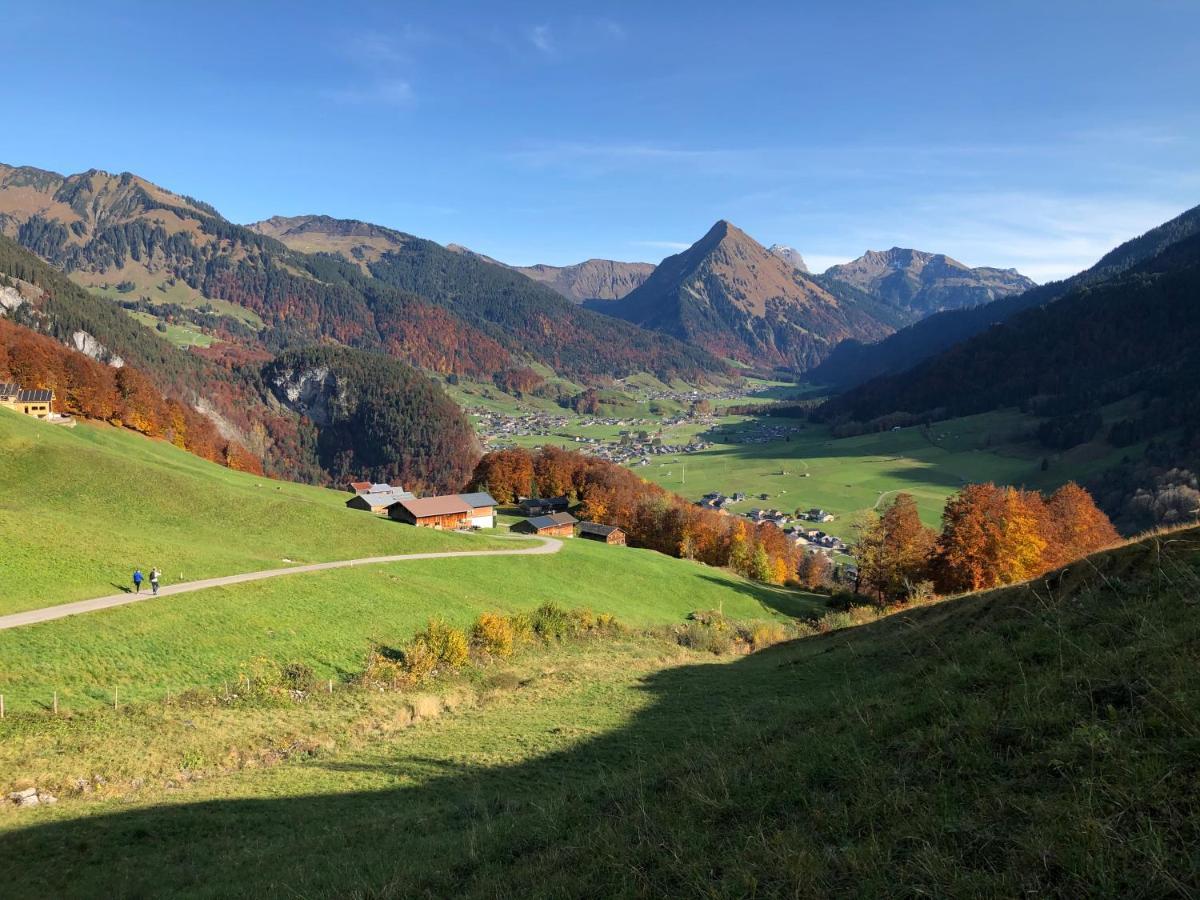 Haus Erna Schoppernau Hotel Buitenkant foto